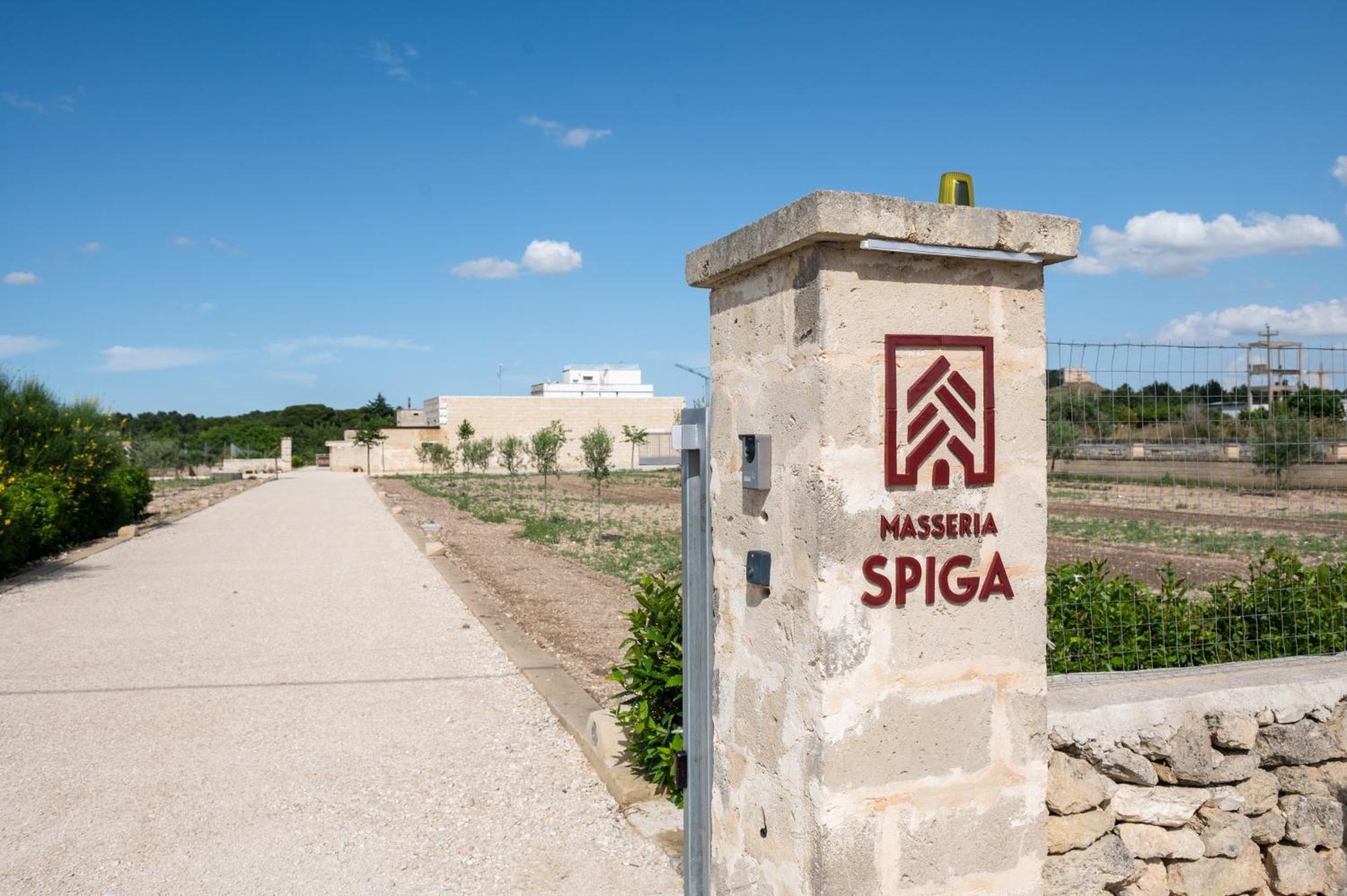 Masseria Spiga Гравіна-ін-Пулья Екстер'єр фото